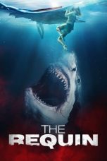 Nonton film The Requin (2022)